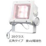 CF2040W/VWSAN8/W || LED投光器 岩崎電気 レディオックフラッドネオ 美vid[20クラス] 広角タイプ 小型･ファザード用 屋内外兼用 IP65 電源ユニット内蔵形 耐塩塗装 100/200～242V 美vid白色(4000K) Ra95 2300lm 消費電力(26.2W) ホワイト