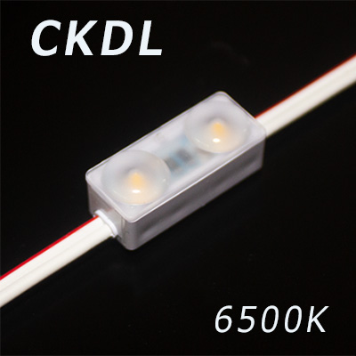 CKDL 6500K LEDモジュール【50個セット】 SSライト ＜拡散キャップ型ミニ2球＞ 